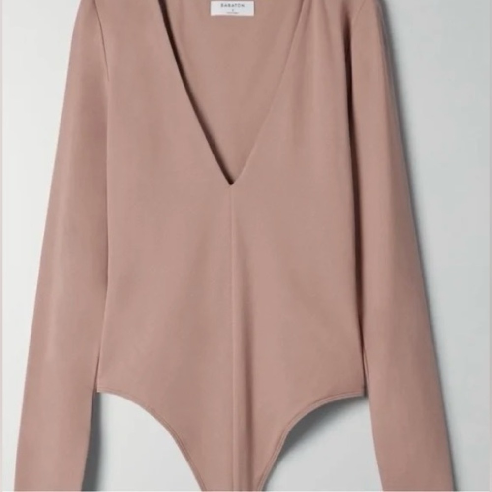 Aritzia Babaton Contour V-Neck Longsleeve Bodysuit